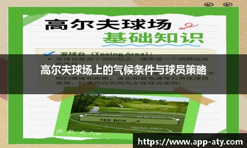高尔夫球场上的气候条件与球员策略